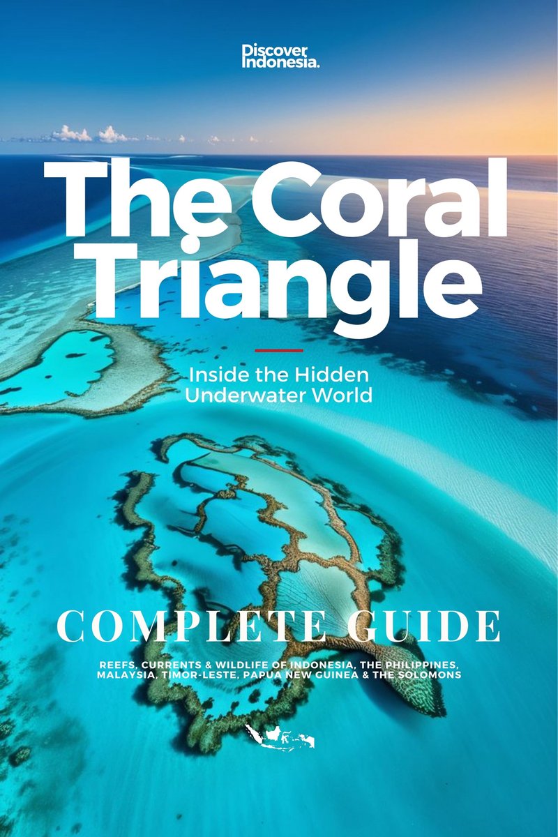 The Coral Triangle, 2027 Edition, cover