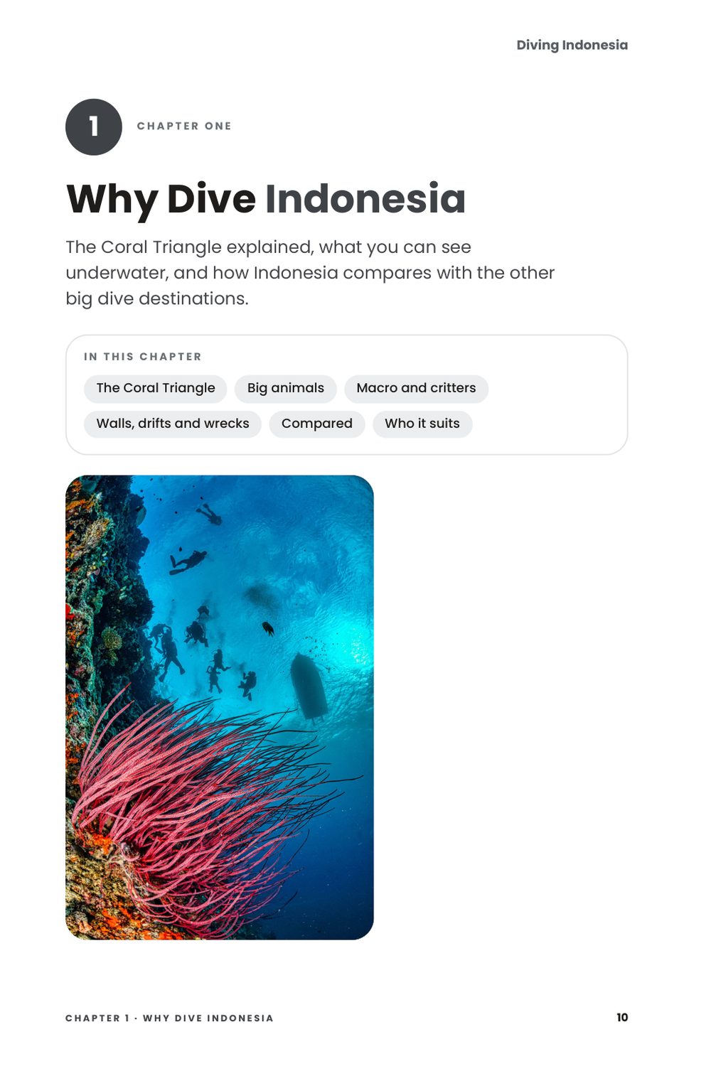 Diving Indonesia, inside page: Chapter 1 · Why Dive Indonesia