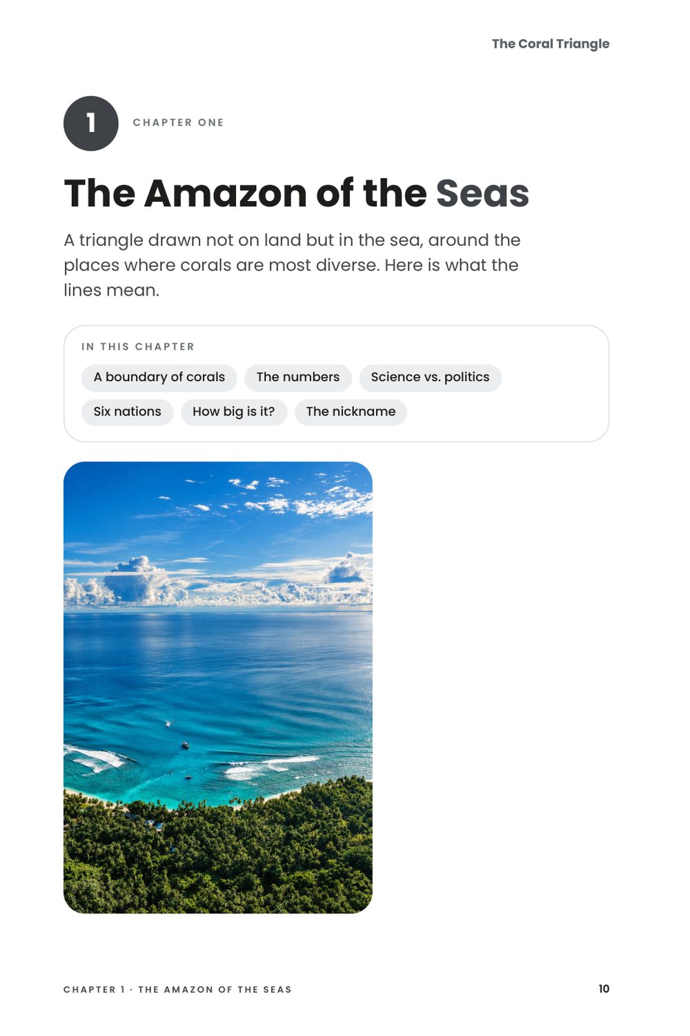 The Coral Triangle, inside page: Chapter 1 · The Amazon of the Seas