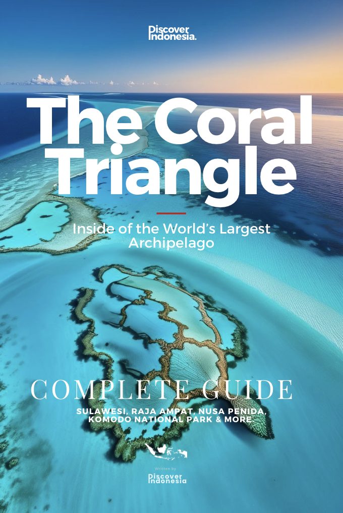Cover von The Coral Triangle