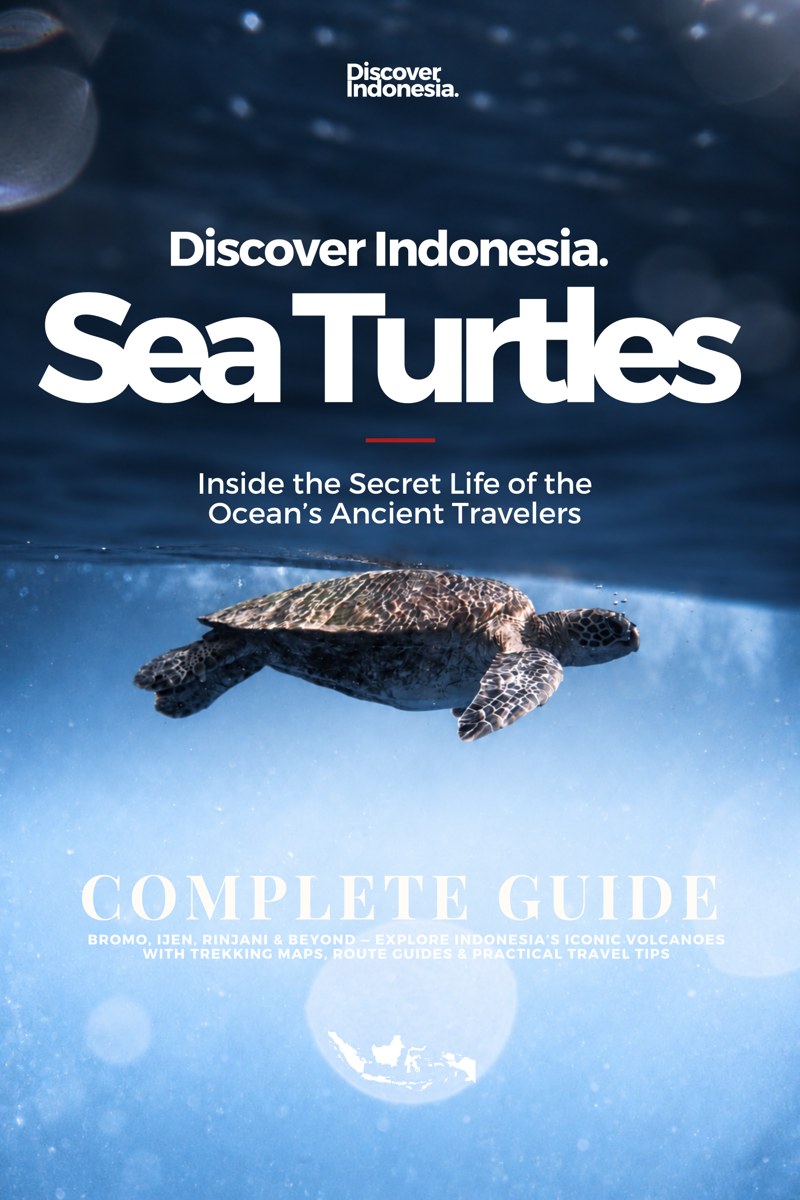 Discover Indonesia: Meeresschildkröten, Buchcover