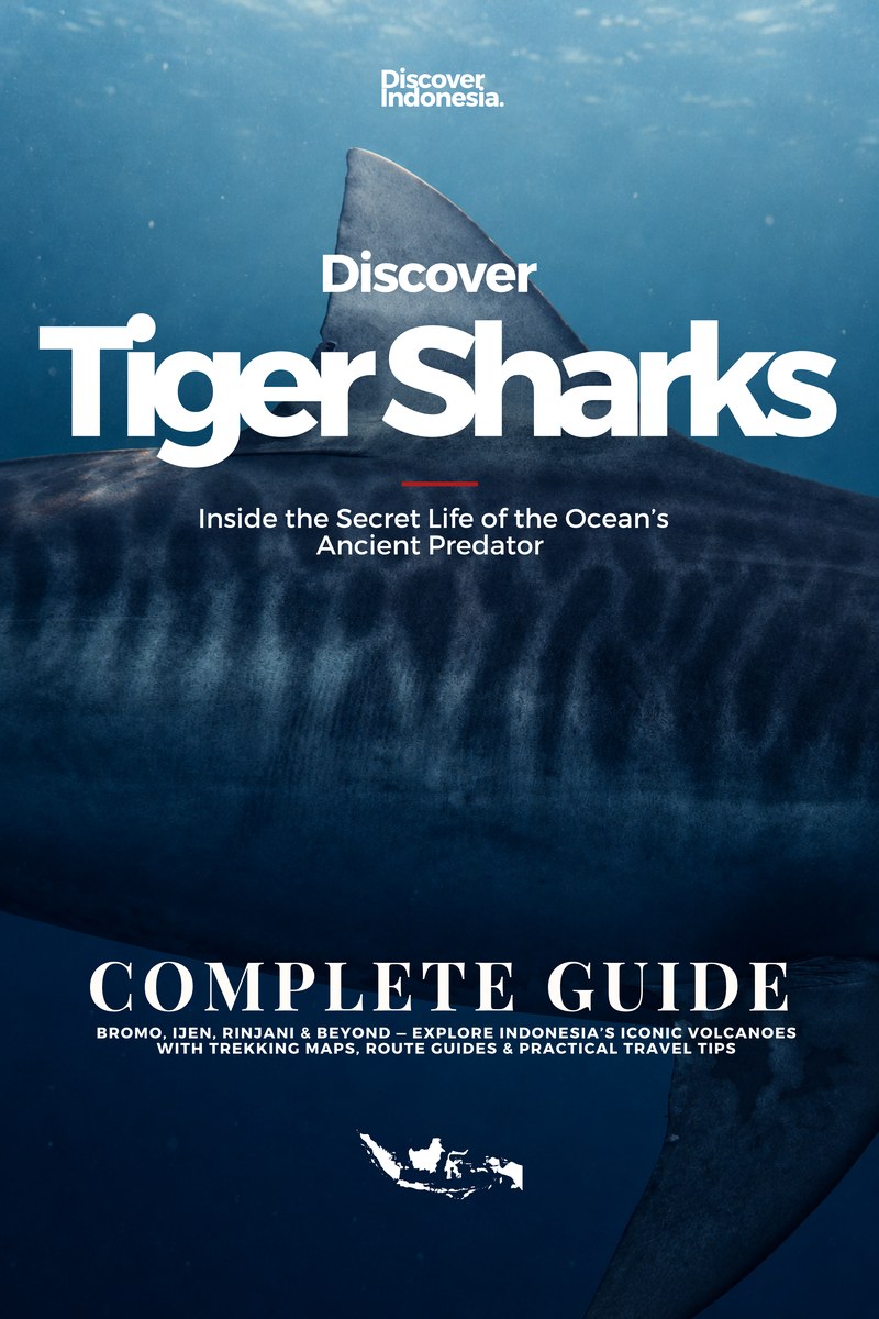 Discover Indonesia:イタチザメ、書籍の表紙