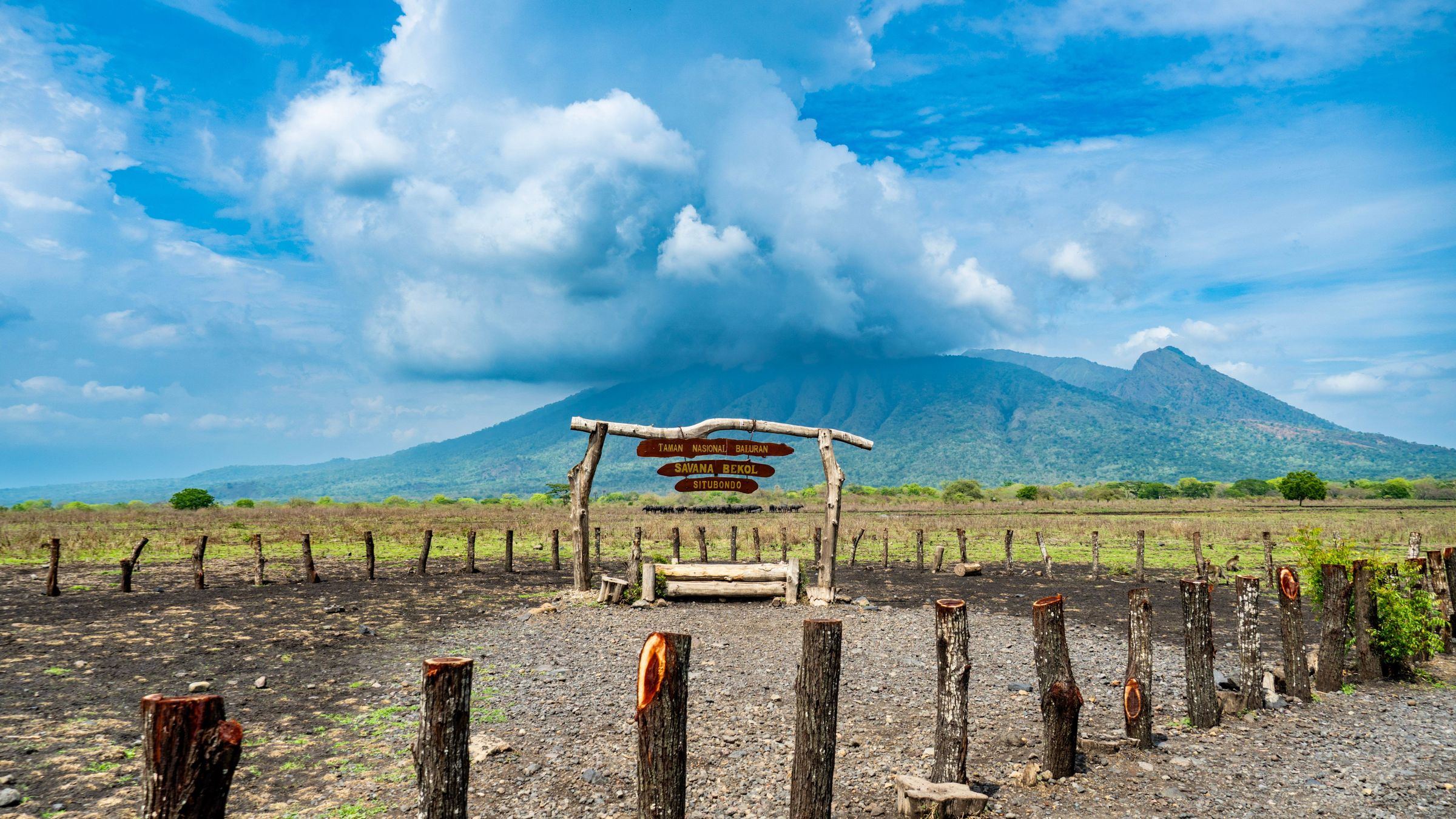 Die Bekol-Savanne mit einem hölzernen Torbogen und dem Mount Baluran im Hintergrund