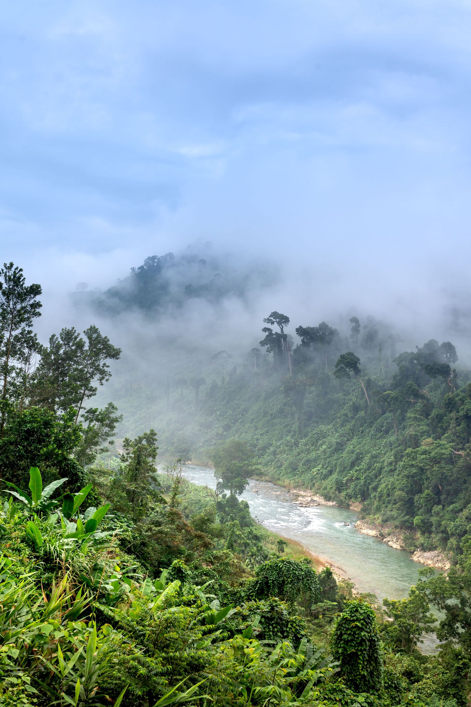 A river winding through misty, forested mountains