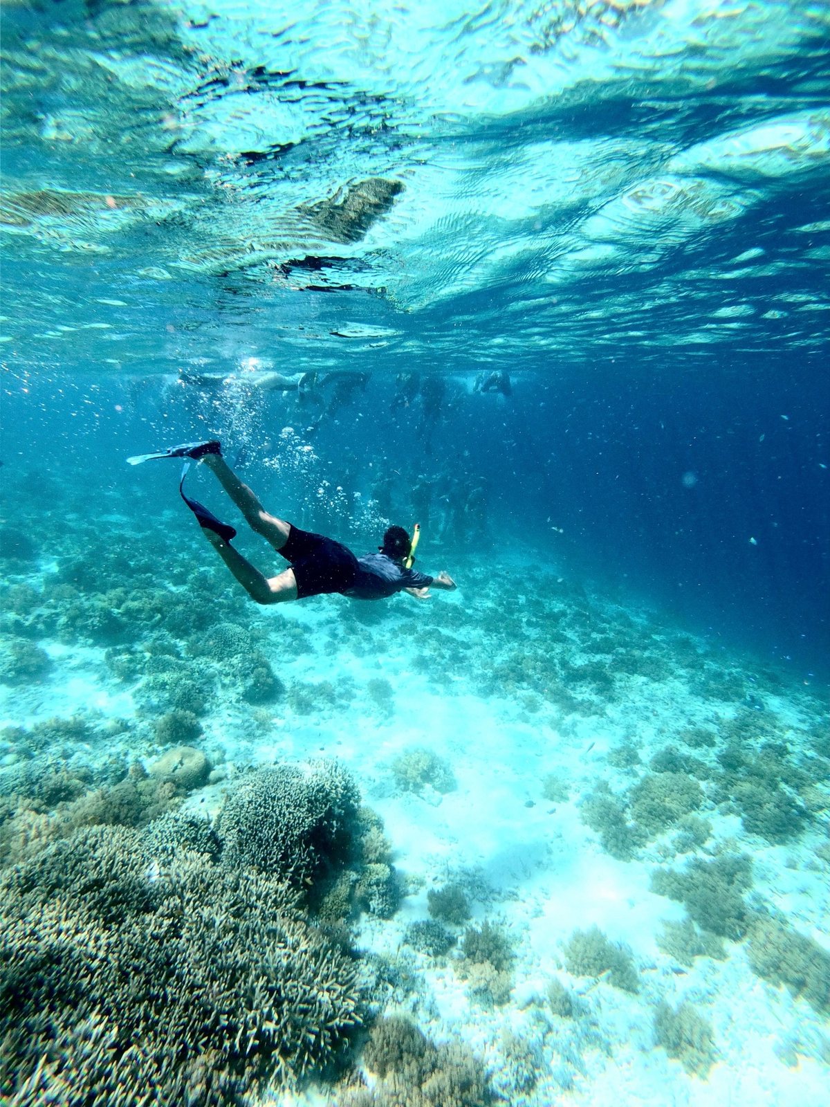 Clear, calm water over the reef: the transition months bring the glassiest seas.
