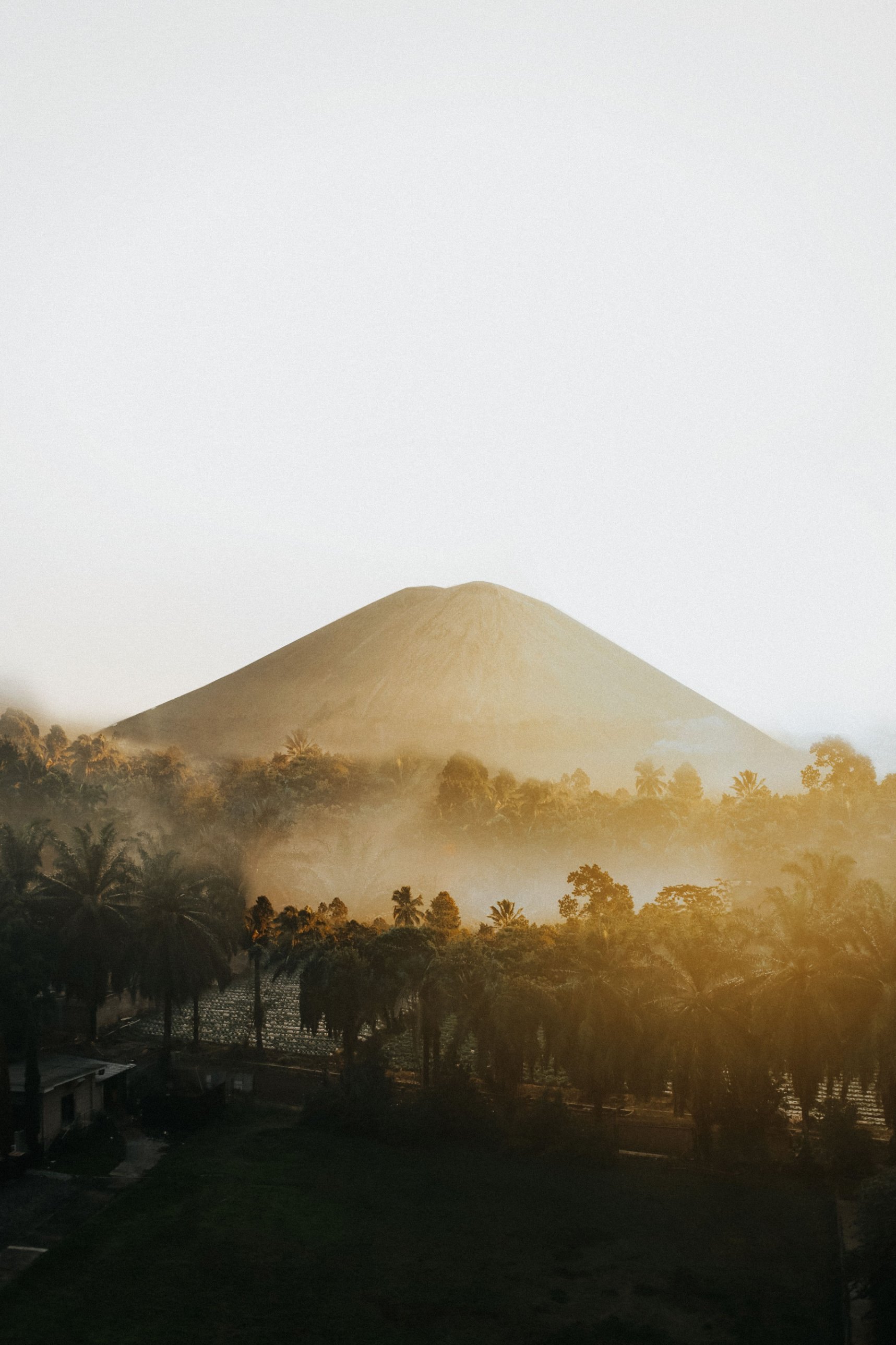 Ein Vulkankegel erhebt sich bei Sonnenaufgang über nebligem Palmenwald in Indonesien