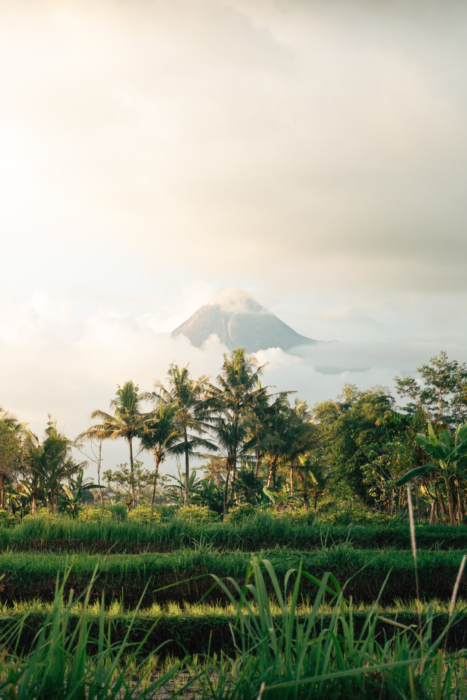 Gunung Merapi